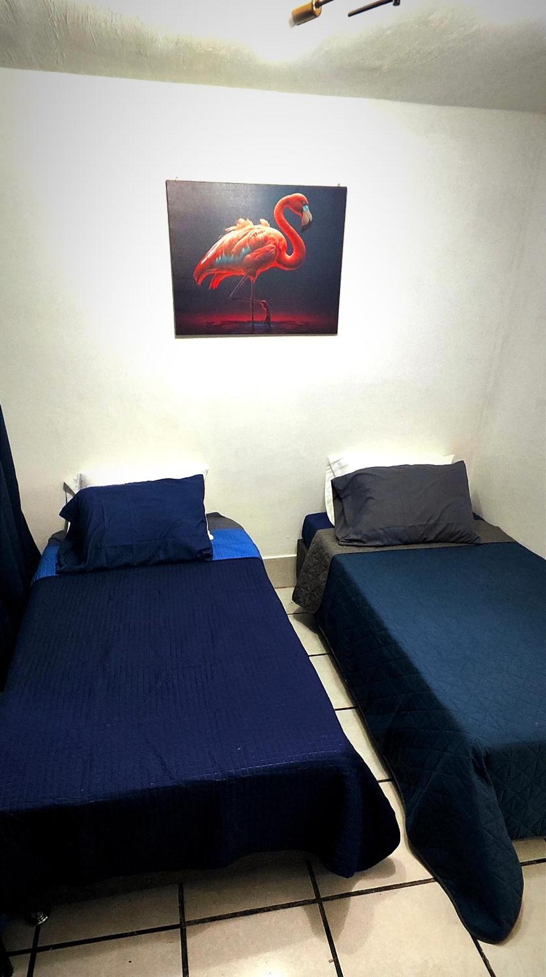 Casa Camila Zapopan Villa Guadalajara Bagian luar foto